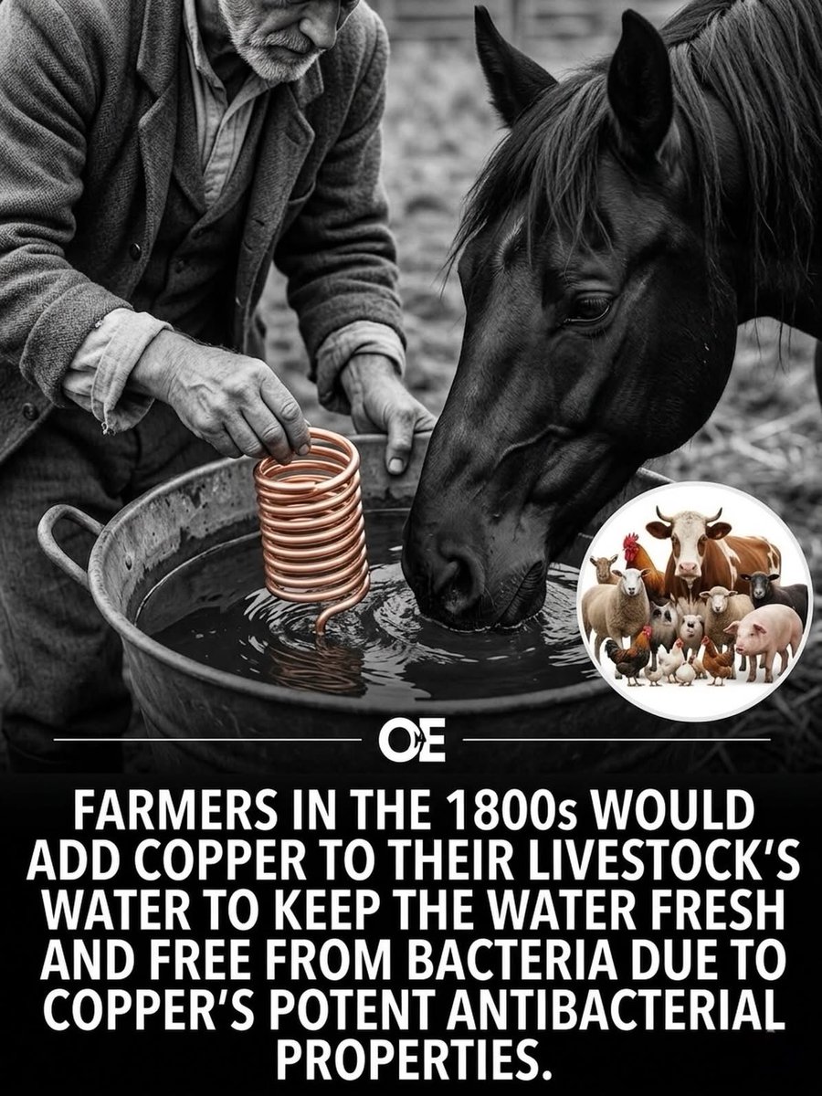 🧬Maxpein🧬 tweet media