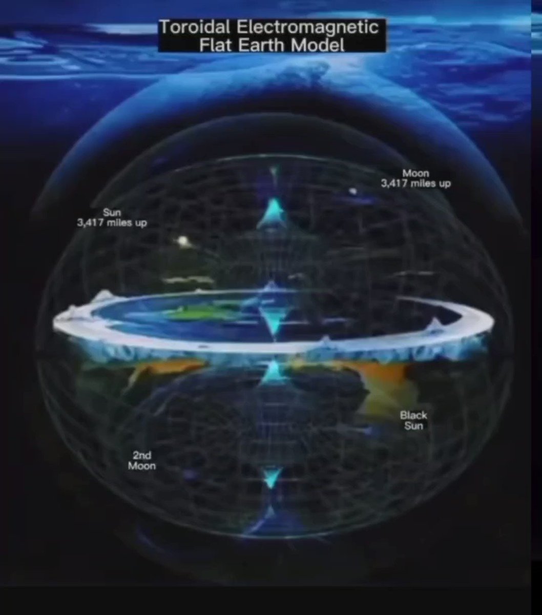 DataNotDogma tweet media