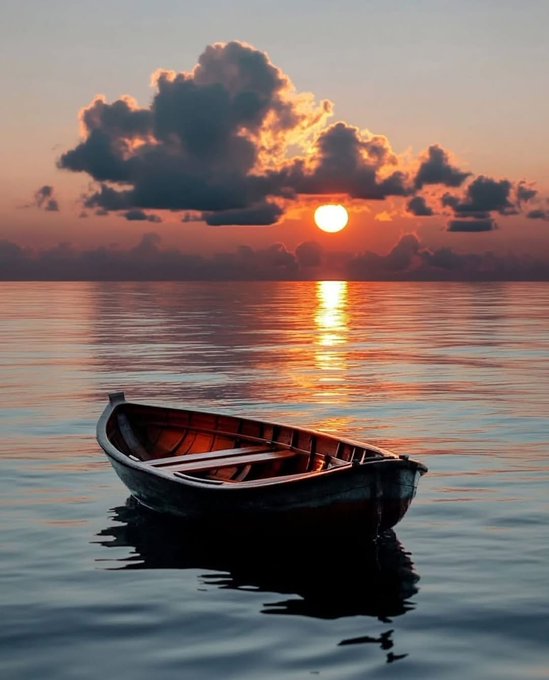 doğan_doan tweet media