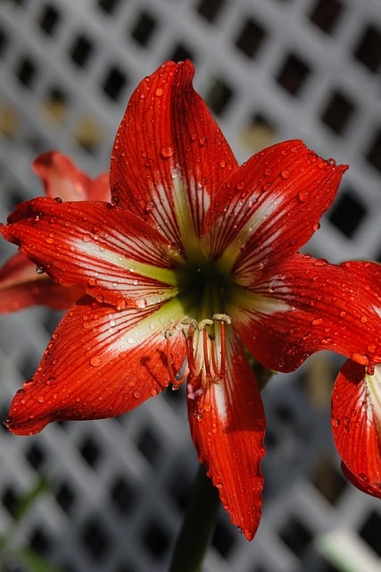 Irving Bem tweet media