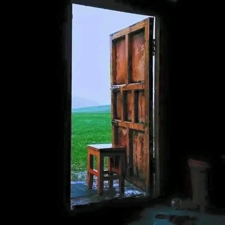 Буянаа tweet media