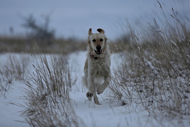 John Burston tweet media