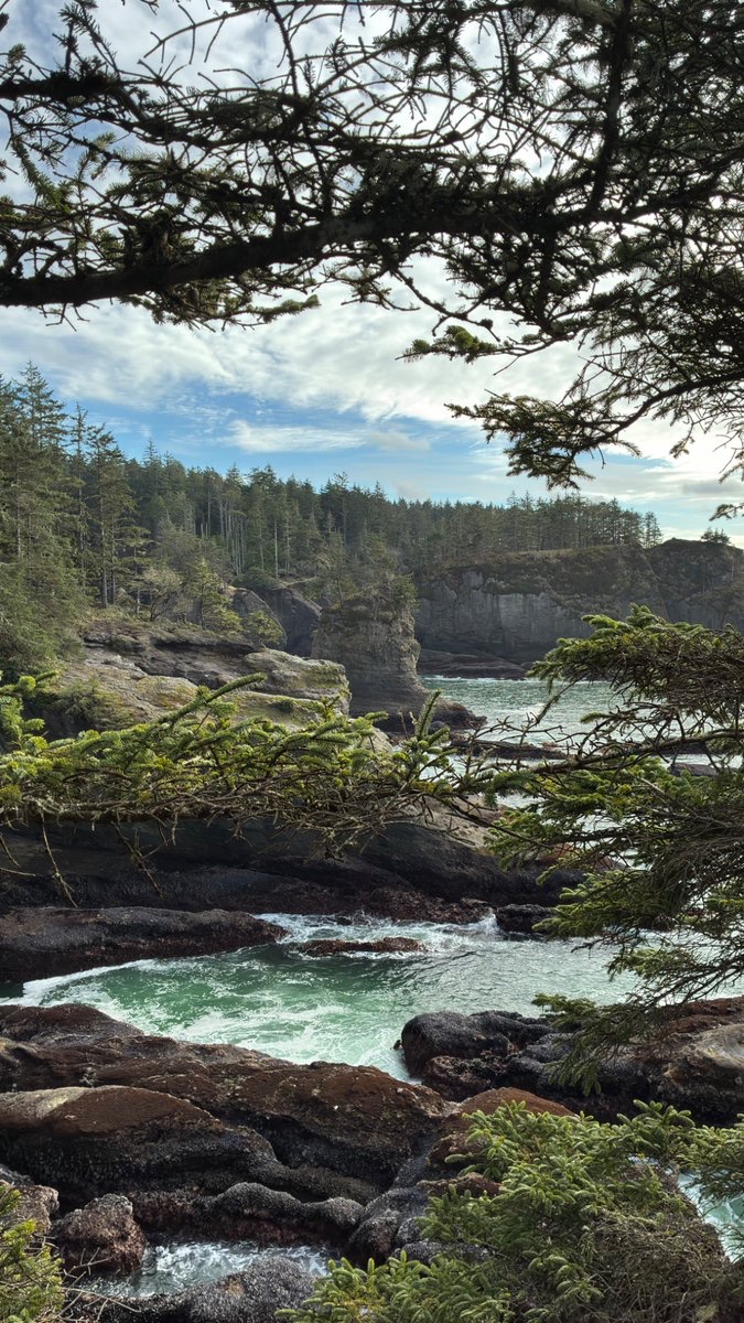 Marwan A. Almalki tweet media