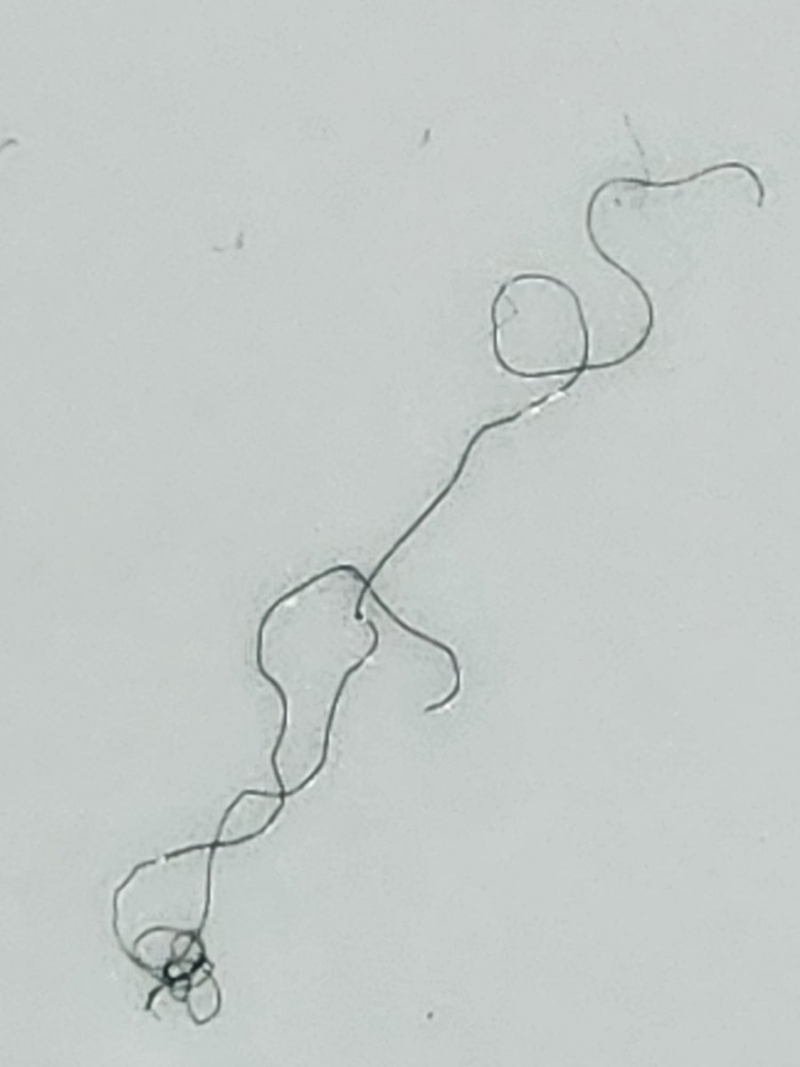 Serpil Özkan tweet media