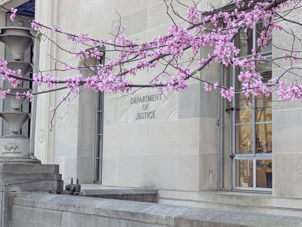 Jordan K. Carpenter 🇺🇸 tweet media