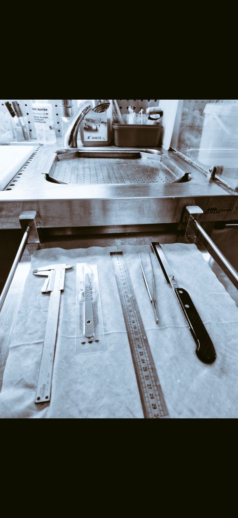 Sky Lab 🇨🇵✝️ tweet media