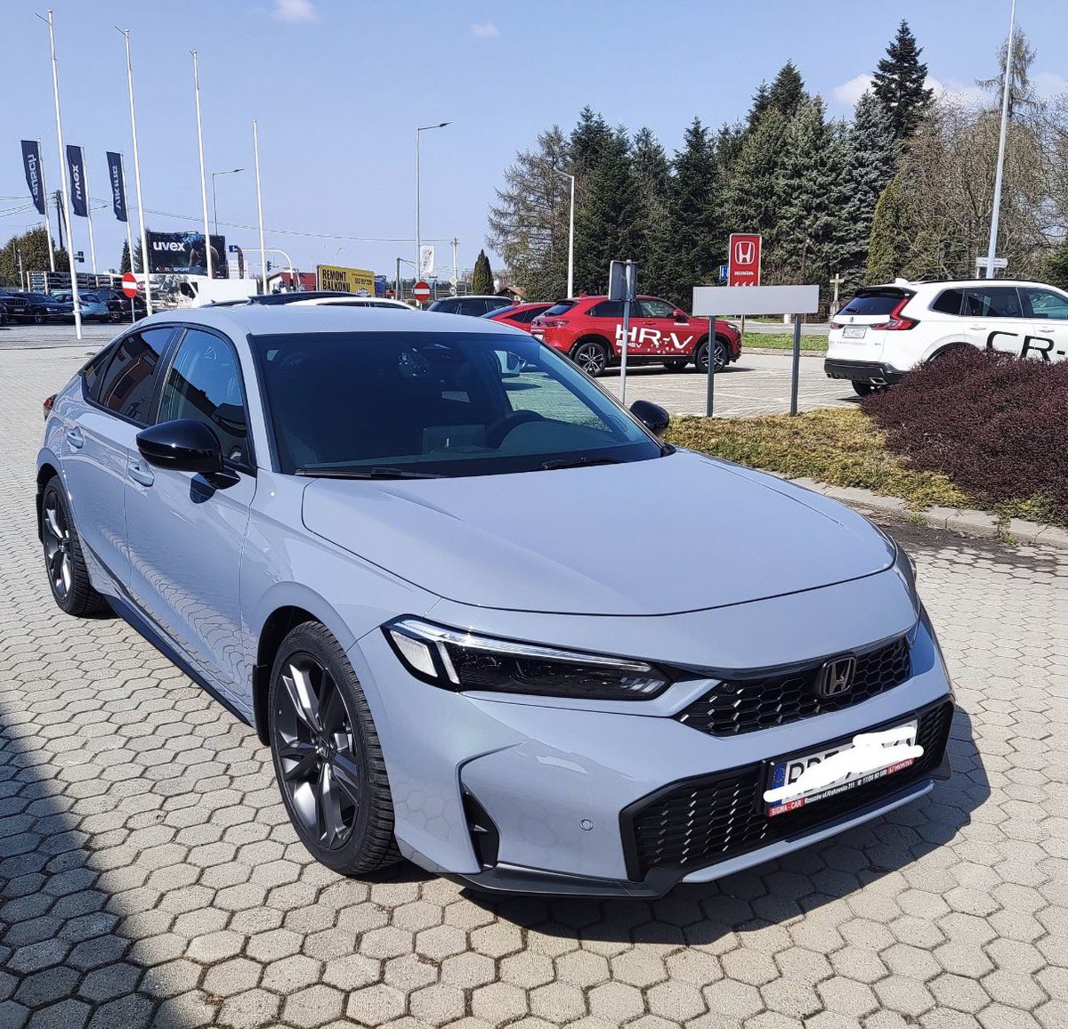 GallusWen tweet media