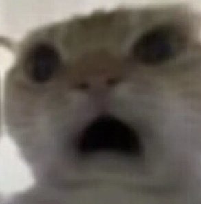 luii.rueee°🍁 tweet media