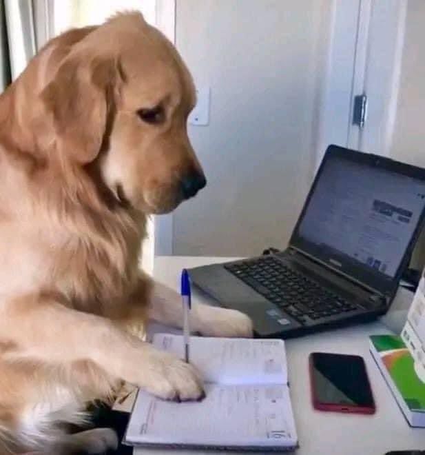 𑁯੭ . nuckz 🪽 tweet media