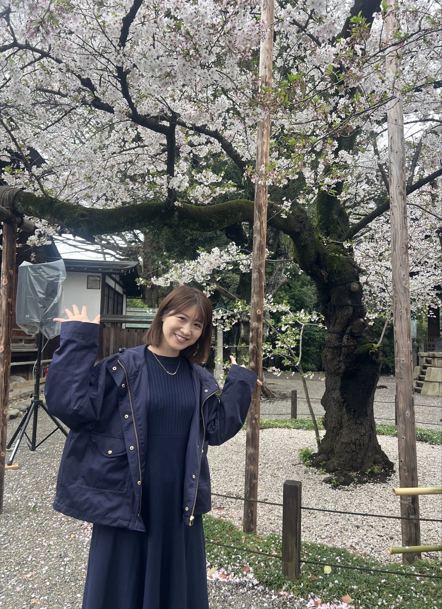 坂口愛美 tweet media