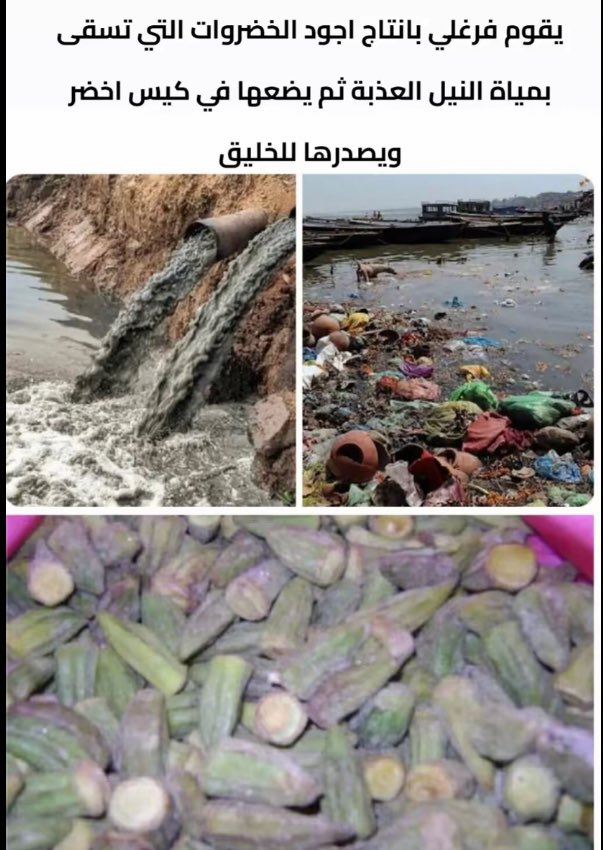 🌼الولاء🌻للوطن🌼 tweet media