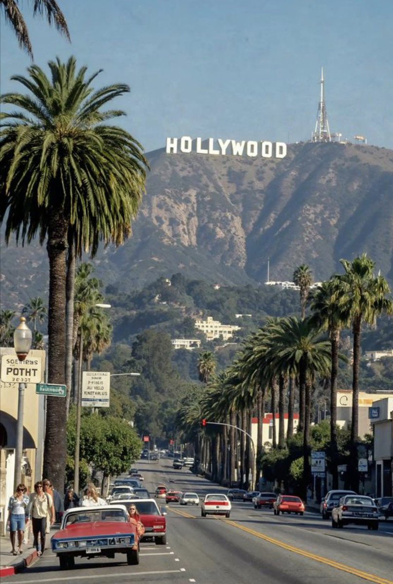 Arnie McNair 🇺🇸 tweet media