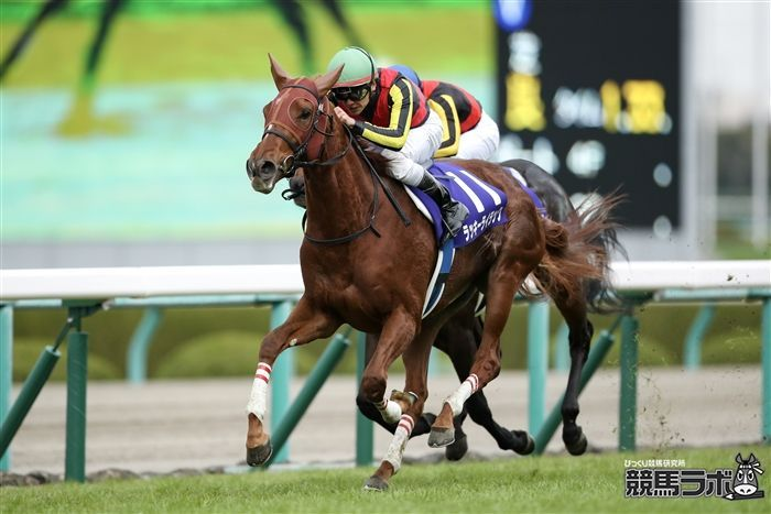 競馬ラボ tweet media