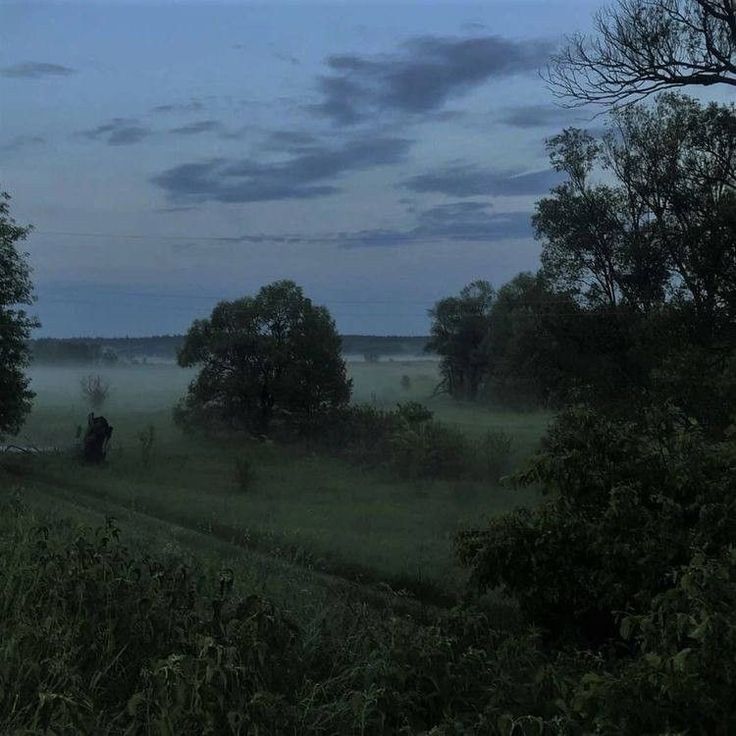 elemmiressoul's tweet photo. peaceful hours. https://t.co/dLF8FQhZNZ
