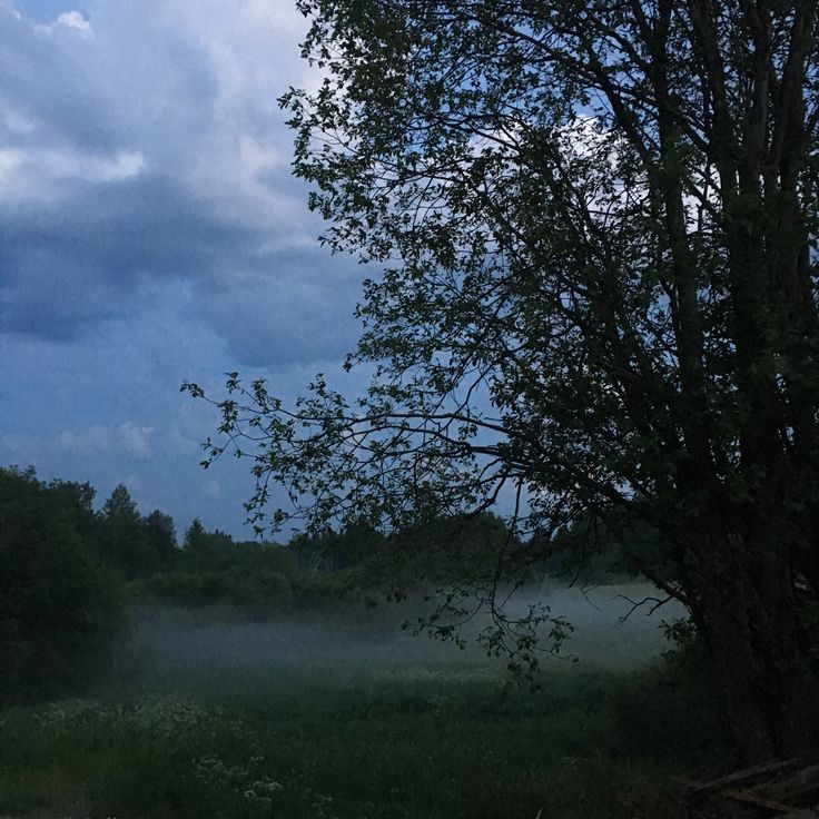 elemmiressoul's tweet photo. peaceful hours. https://t.co/dLF8FQhZNZ