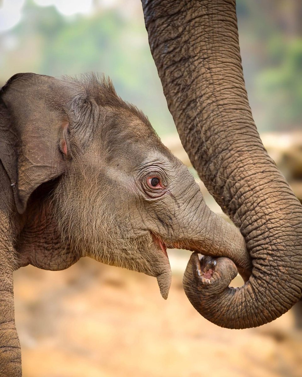 GolfyTT☕ tweet media