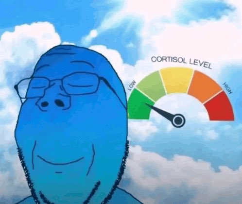 Vatican Banker🌴🇻🇦 tweet media