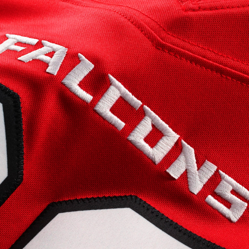 The Scottish Falcon 🏴󠁧󠁢󠁳󠁣󠁴󠁿 tweet media