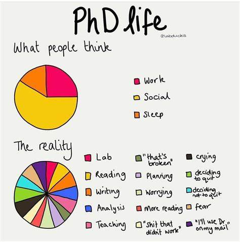career_re's tweet image. #AcademicTwitter😂#phdvoice #PhDlife