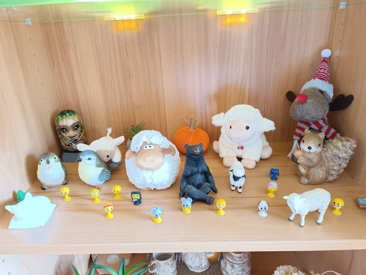 🐑 Sheepo Le Mouton 🐑 tweet media