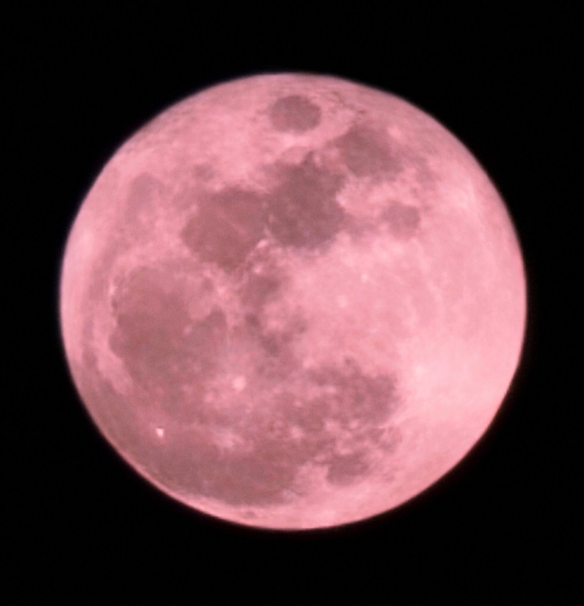 ꕤ୭·花璃菜·ꕤ୭ ⓗⓐⓡⓤⓝⓐ tweet media