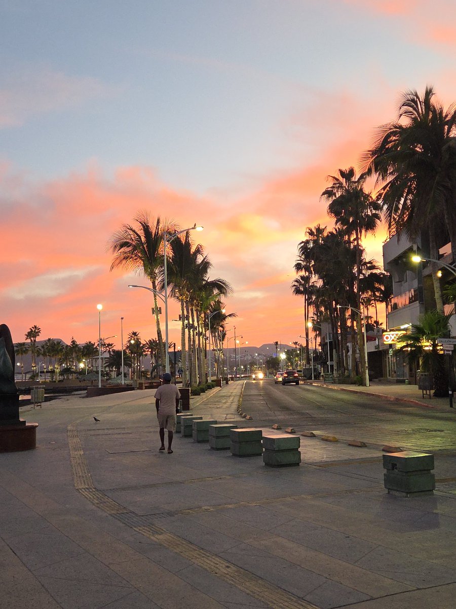 Angel🌴 tweet media