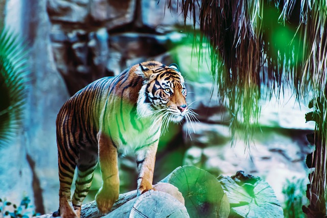 Dennis Wasson tweet media