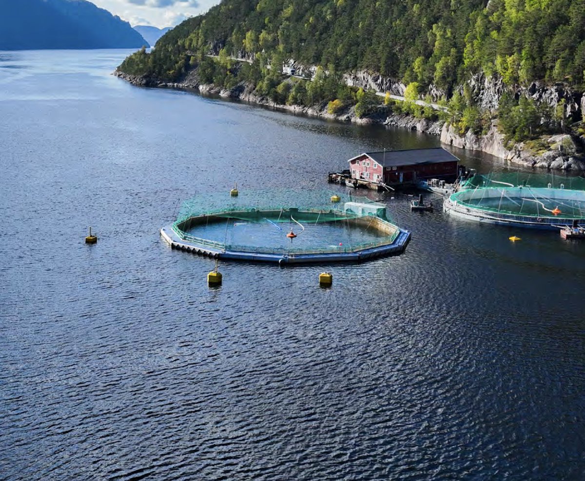 Francesco | Outpile tweet media