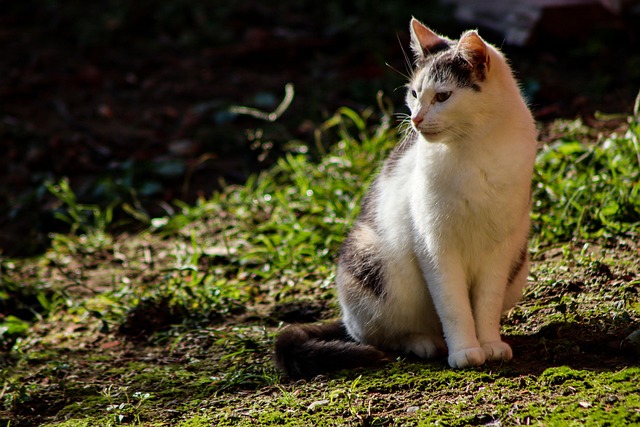 Paula Miller tweet media