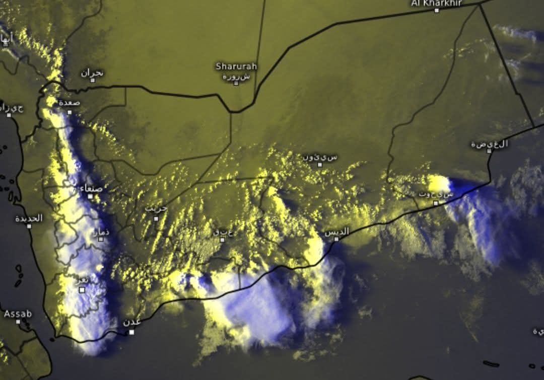 طقس حضرموت tweet media