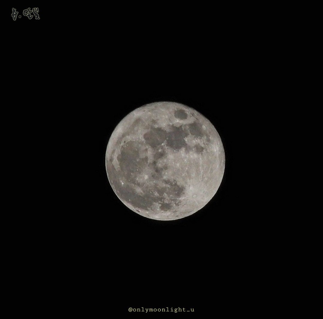 ๋ฌ๋น๐ tweet media