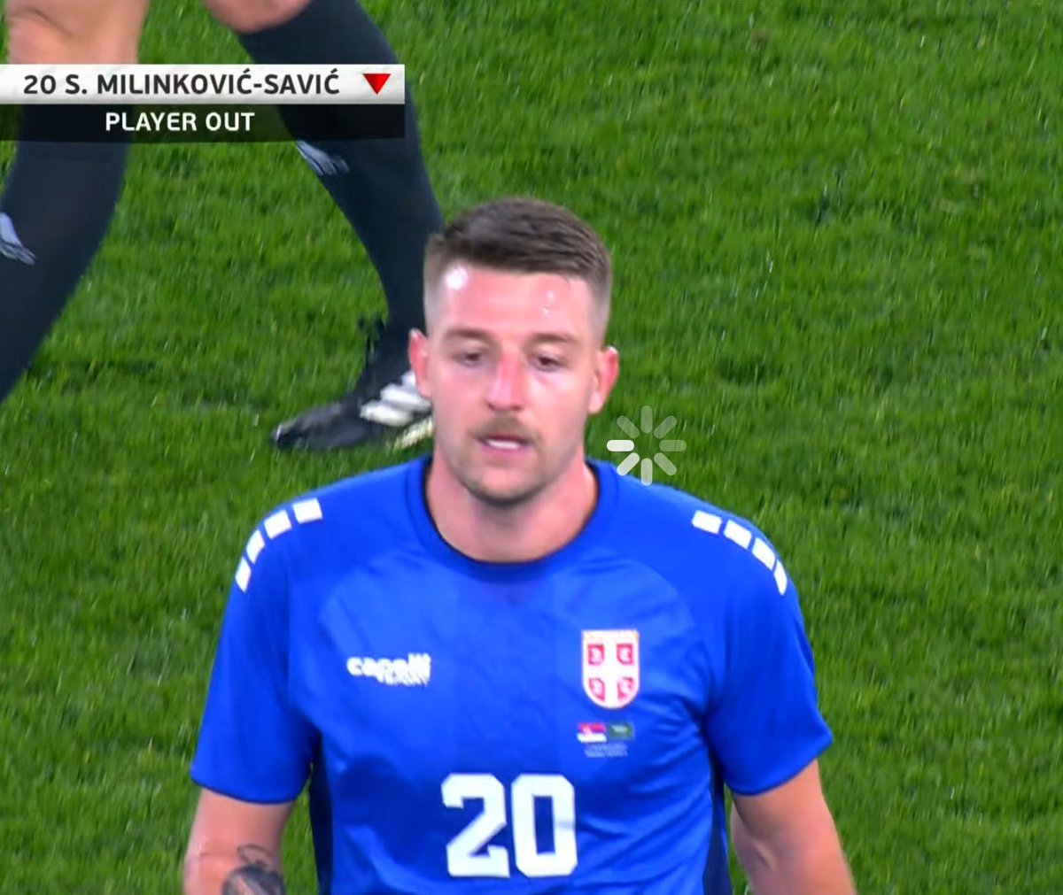 نيفيزه tweet media