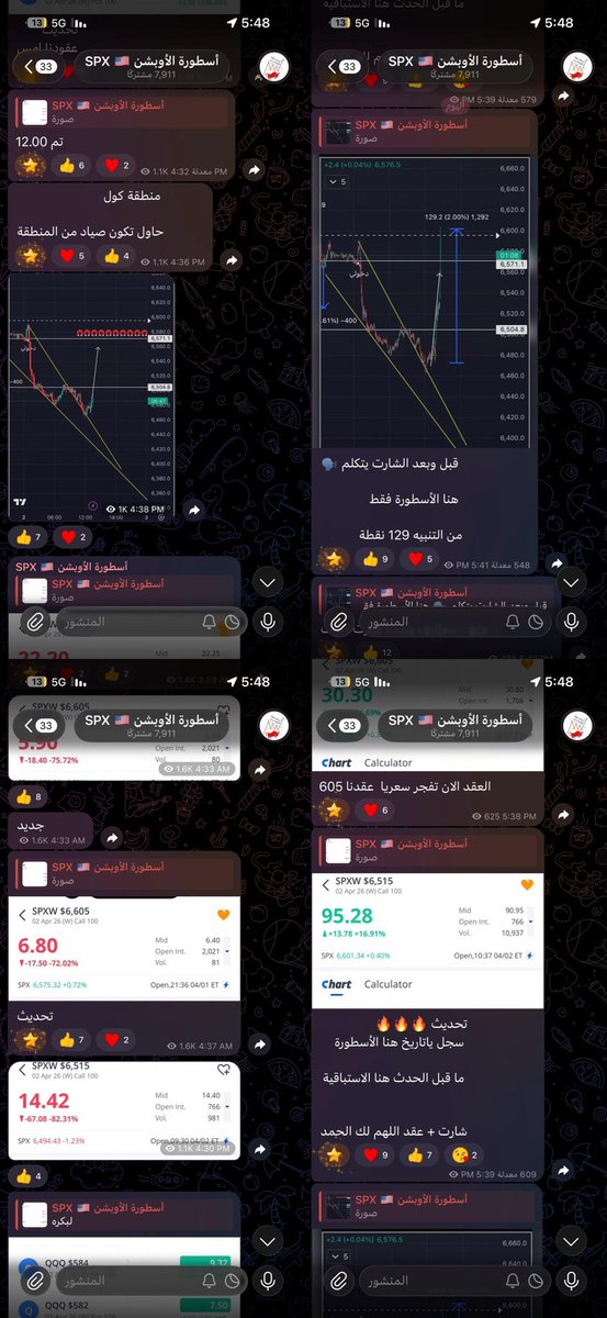 أسطورة الاوبشن tweet media