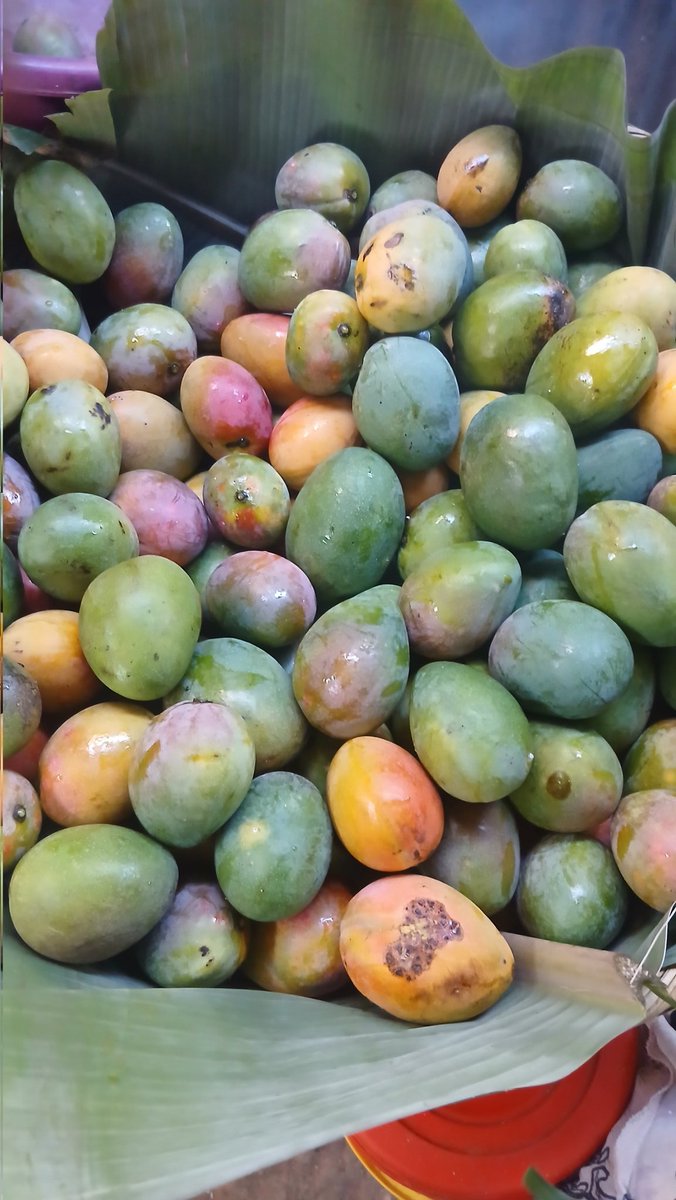 chicofran tweet media