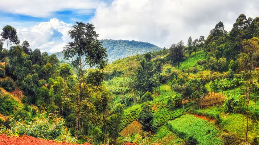 Global Environment Facility (GEF) tweet media