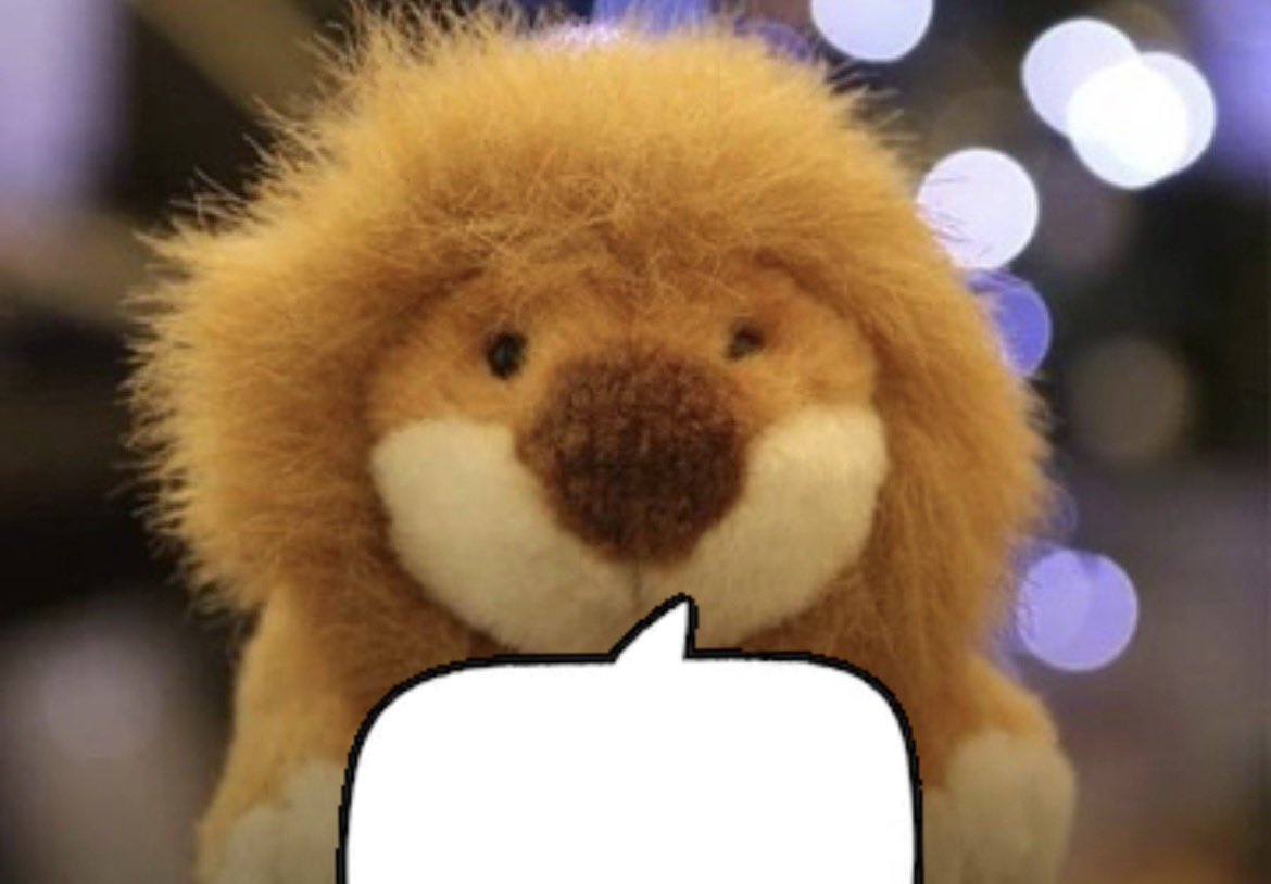 lauren 🤍 tweet media