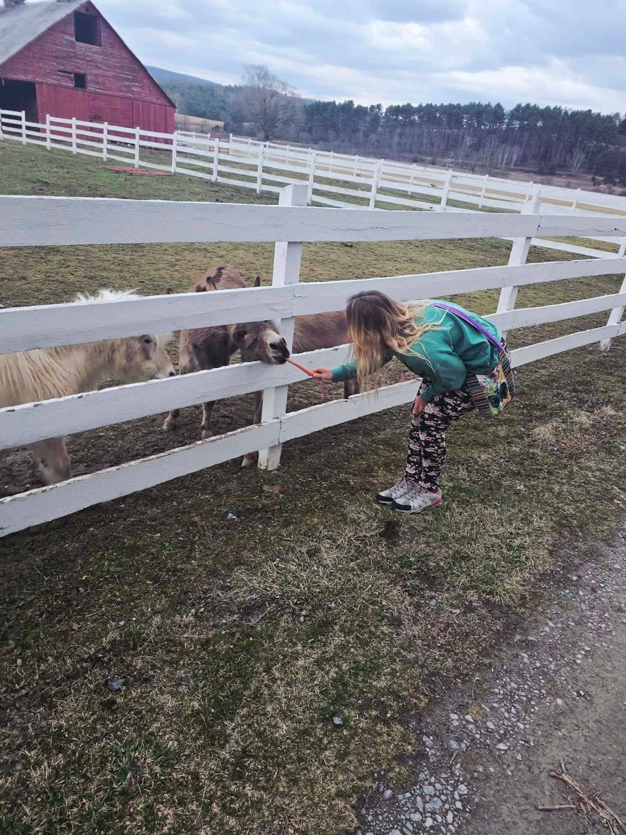 Jedi Hill tweet media