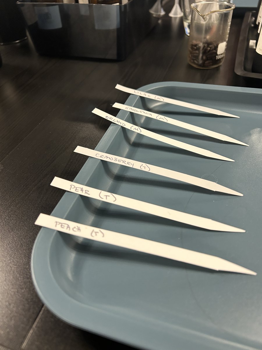 Mother of Pearls tweet media