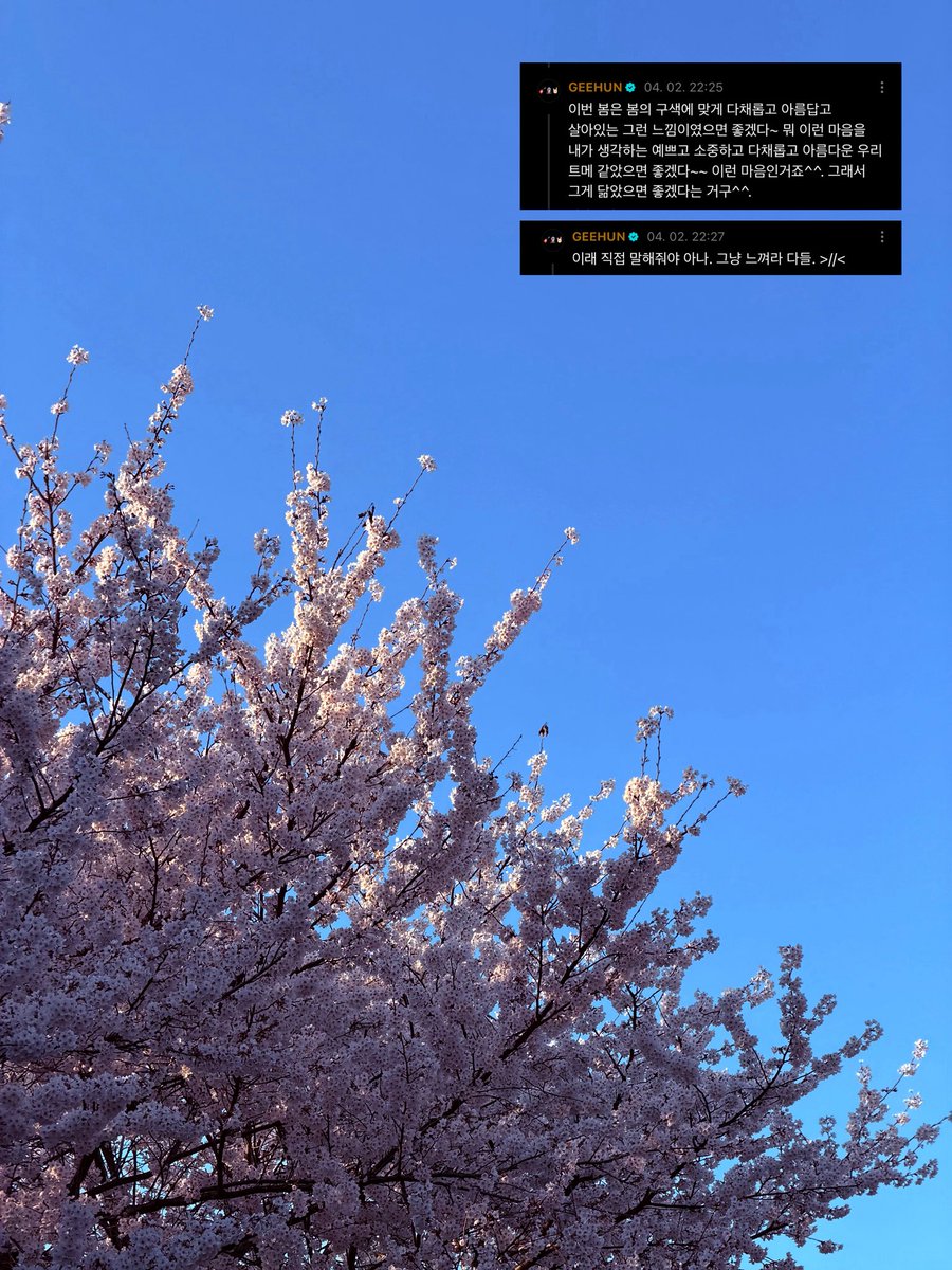 행복지수 314% tweet media