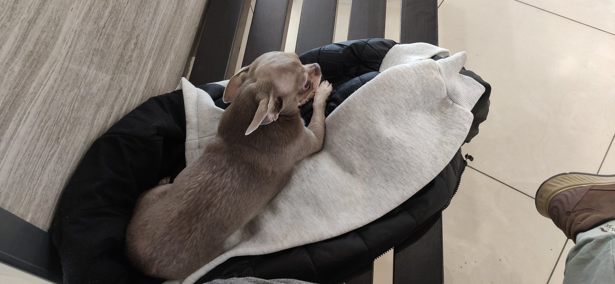 Мел&Ман tweet media