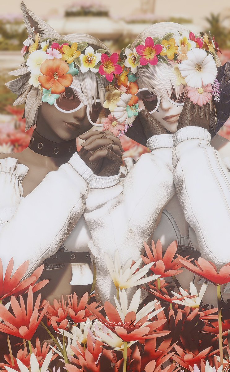 Post by ᴄᴀɴᴏᴄᴏ on X: