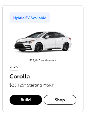 birdingCCS tweet media