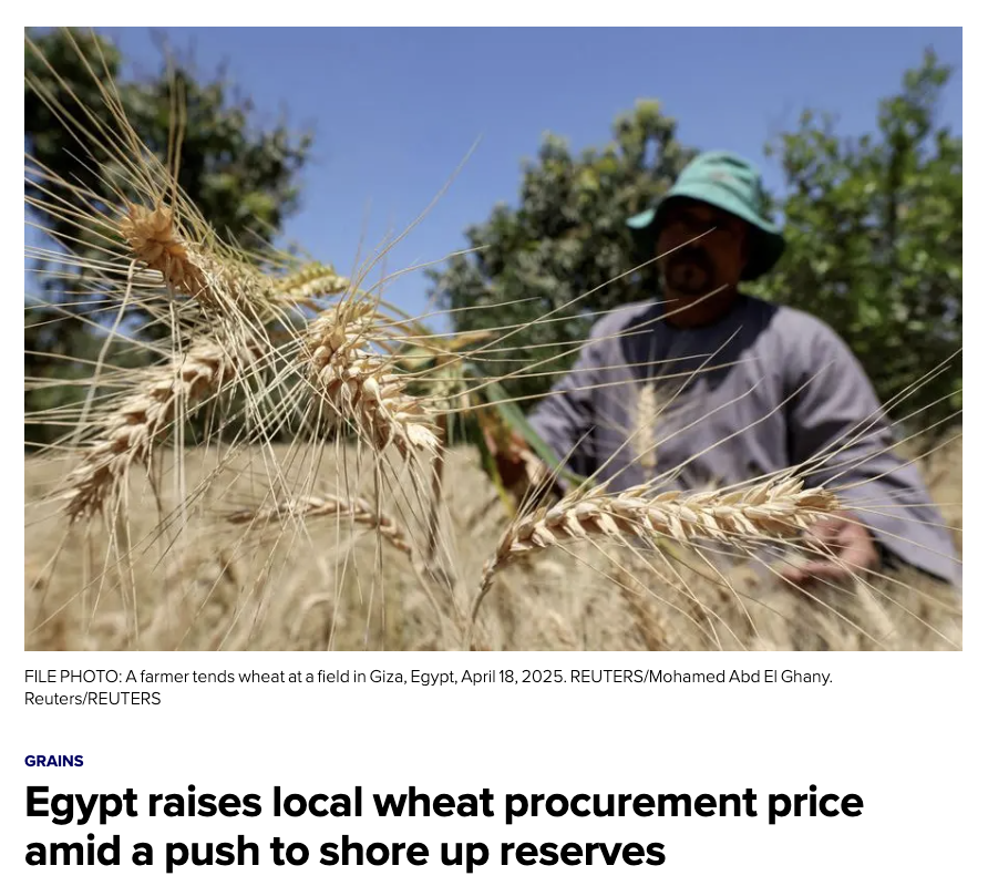 sizov_andre's tweet photo. Are #wheat importers getting a bit nervous? Egypt (#1 global wheat importer) has just raised internal procurement prices to boost strategic reserves.

[As noted in recent weeks, if I were a wheat importer, I would be thinking about hedging / locking prices for 2H 2026 and possibly beyond.]

-----
Reuters: Egypt raises local wheat procurement price amid a push to shore up reserves. Egypt increased its procurement price to 2,500 EGP per ardeb (150 kg) for the current harvest, up from a previous range of 2,250–2,350 depending on quality. 

Authorities target 5 MMT of local wheat this year. Last year, purchases reached 3.9 MMT vs a 4–5 MMT target.

#commodities #foodsecurity #egypt #oatt #sizovreport