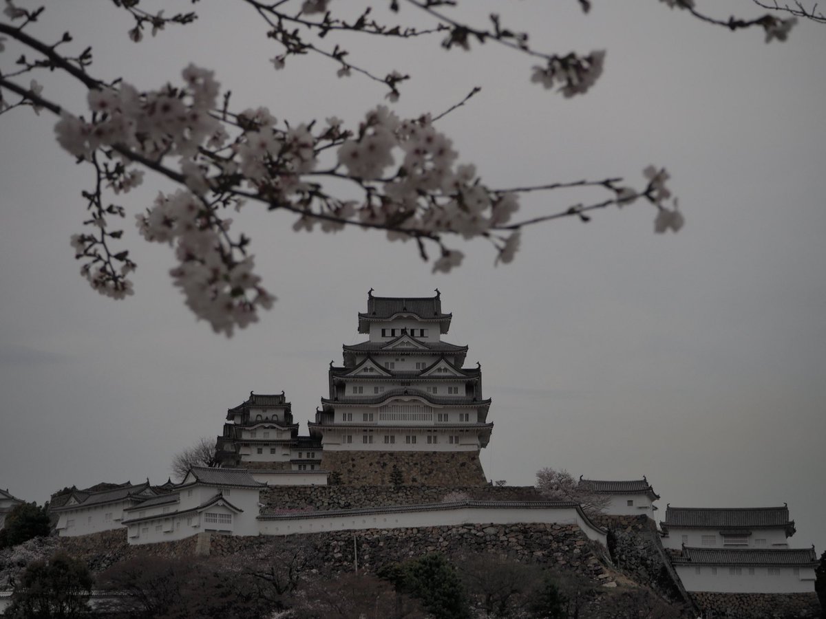 。ゃみ。 tweet media