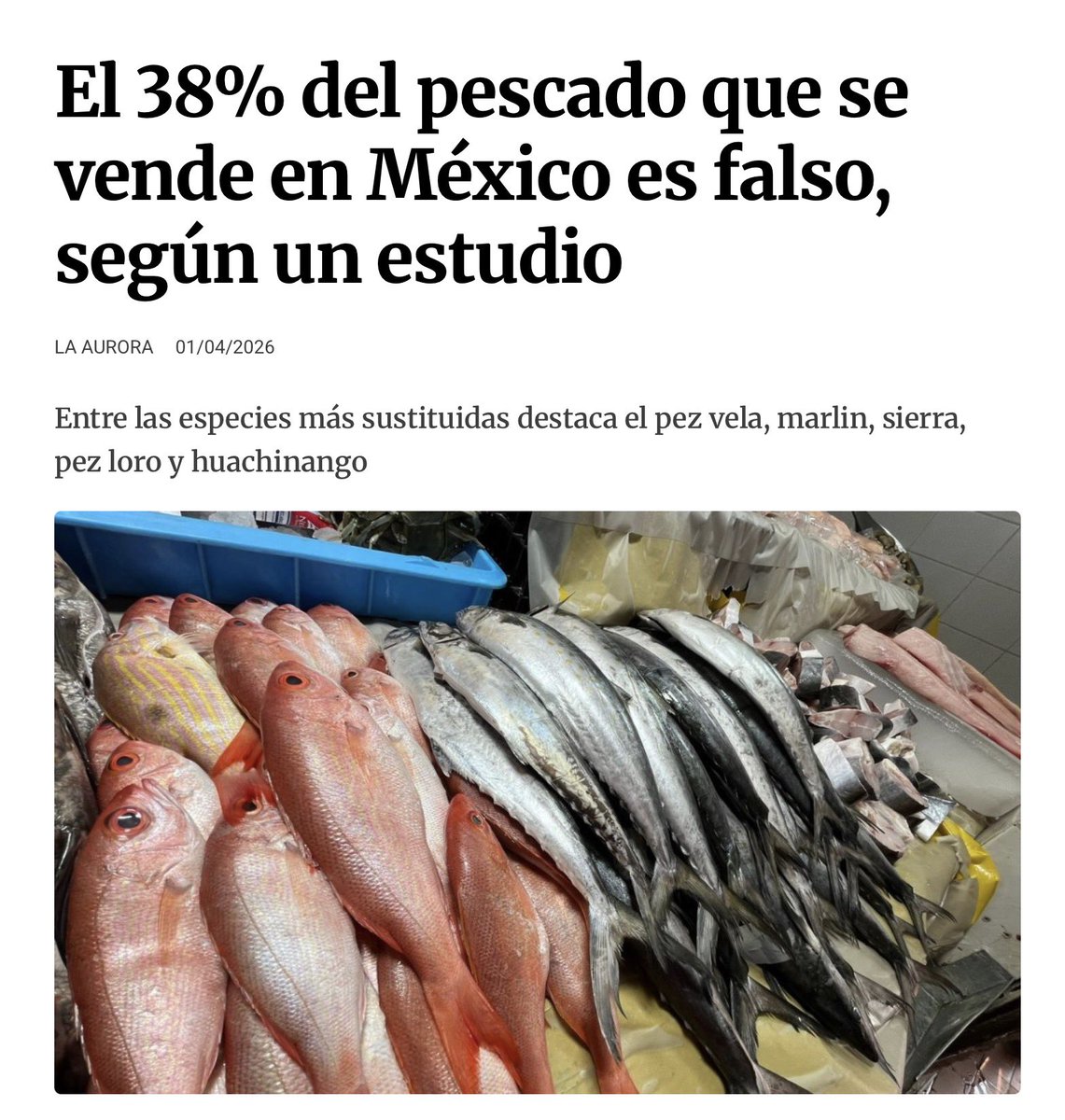 José Mario tweet media