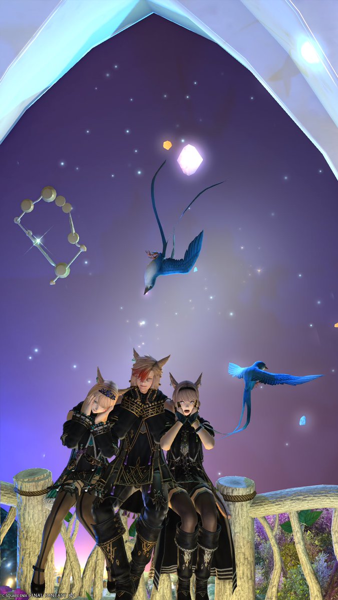 Ari Hicha tweet media