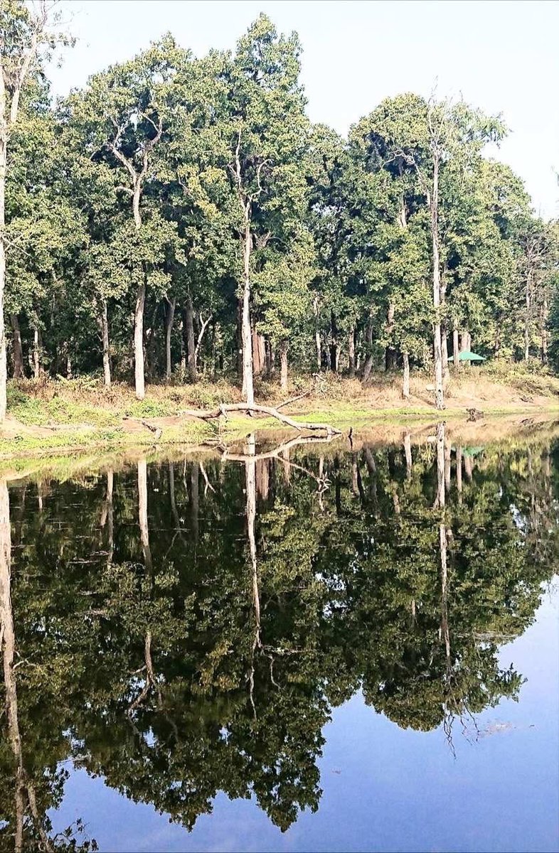 अनलराज भट्टराई tweet media