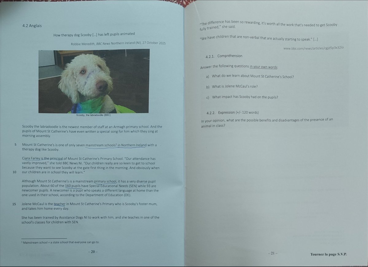 Gabriel Lattanzio tweet media