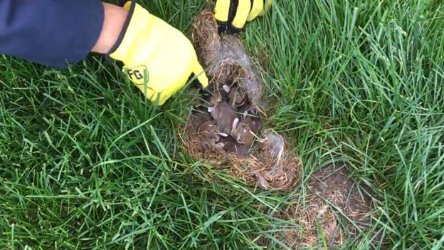 Give A Shit About Nature tweet media