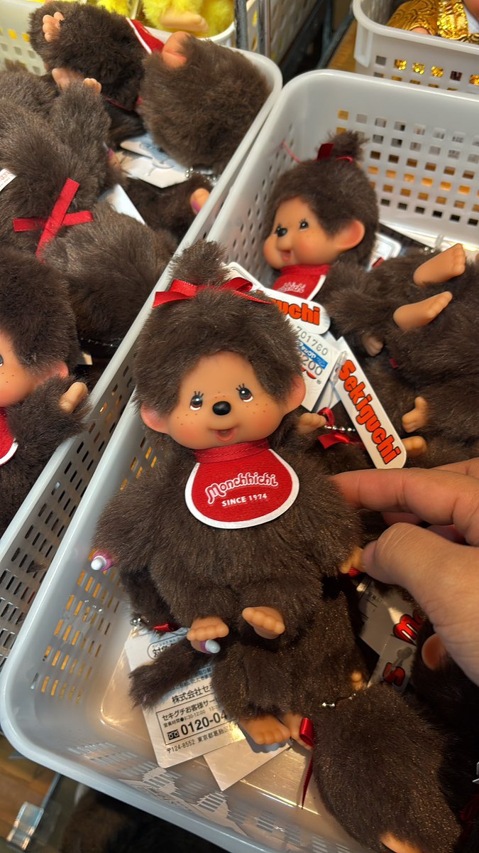 BRONTON 🪸 tweet media